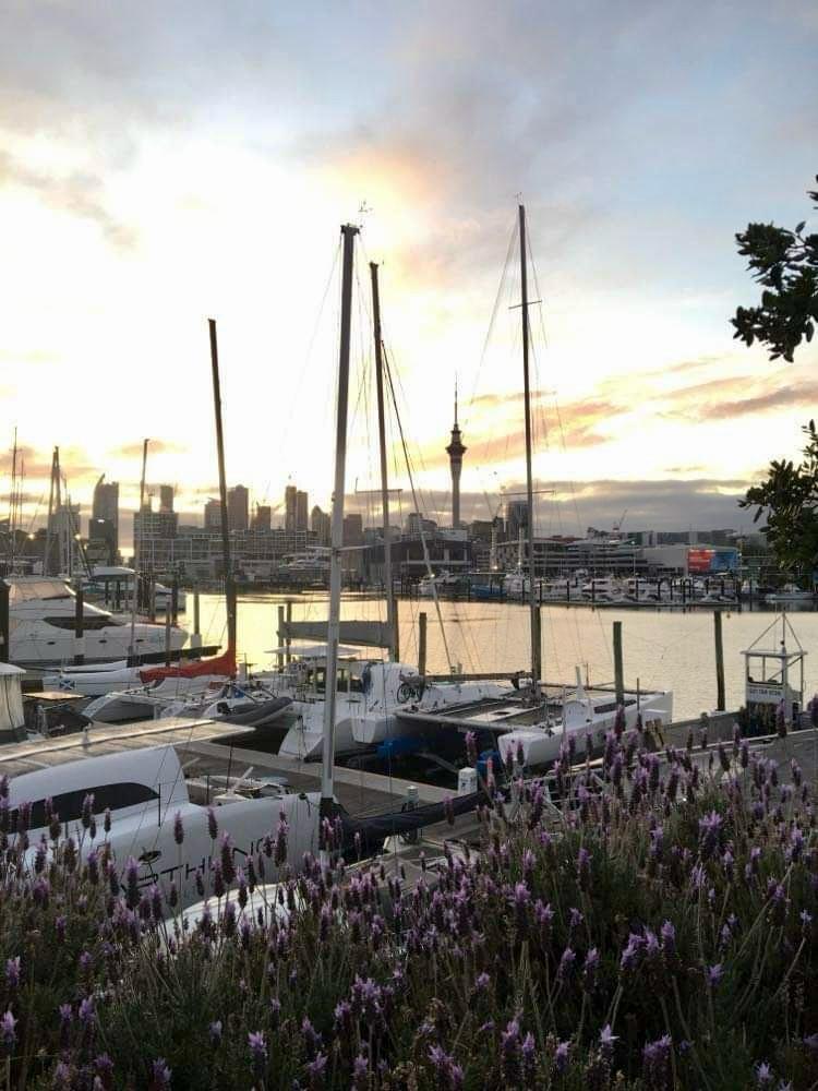 WhatsApp Image 2023-10-20 at 8.04.46 AM